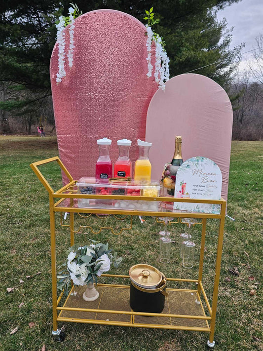 Mimosa Bar/Cart w/supplies